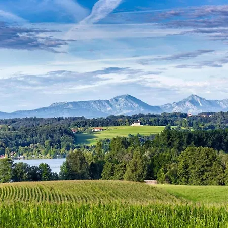 Eco-friendly Near The In Asten